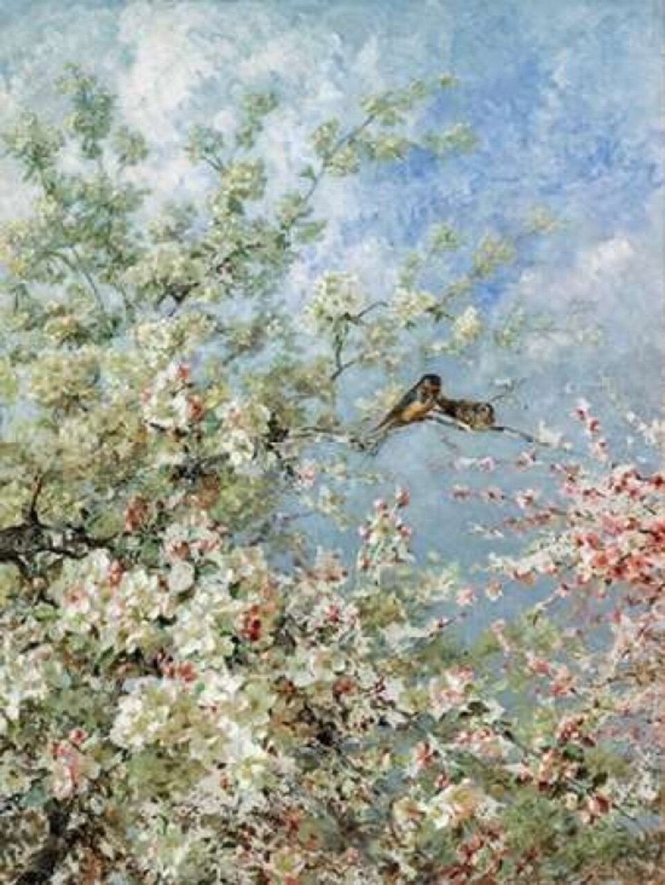 Apple Blossoms Poster Print by Olga Wisinger-Florian - Item # VARPDXCC2740
